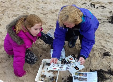 Rockpoolers examine their finds