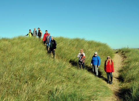 Sand Dunes Guided Walk