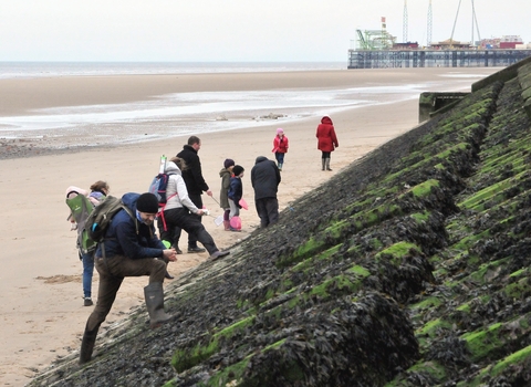 Rockpooling in Blackpool. Credit: Brian Jones