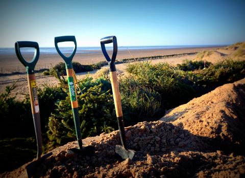 Fylde Sand Dunes Practical Conservation