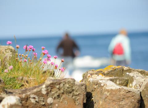 Exploring the shoreline ©Amy Lewis