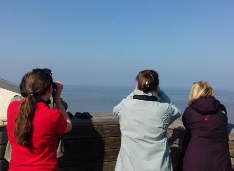 Sea watch at Rossall Point Observation Tower