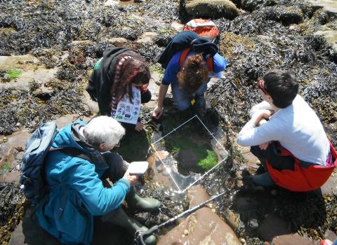 Shoresearch | Living Seas North West