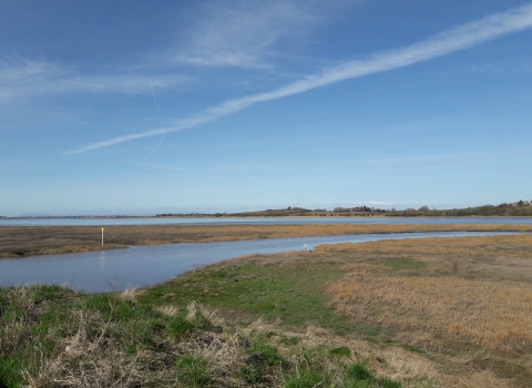 View over the Wyre Estuary