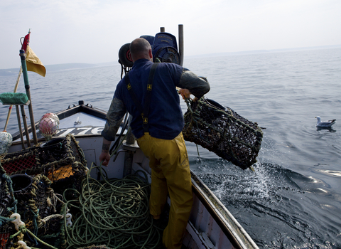 Cumbrian creel project  Living Seas North West