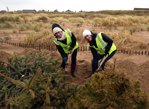 Christmas Tree Planting ©Brian Jones