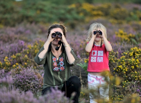 Walney wildlife day