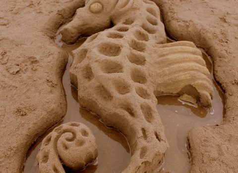 Seahorse sand sculpture