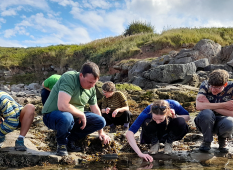 group rockpooling