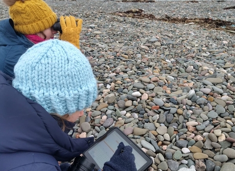 Two people in winter clothing surveying seals; one is holding binoculars whilst the other enters data on a tablet.