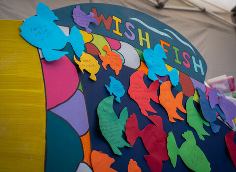 Wish Fish (C) Jack Bradshaw